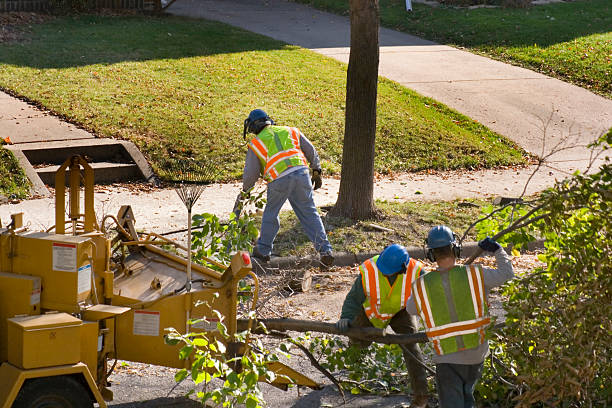 Tree Service Company in Moundville, AL